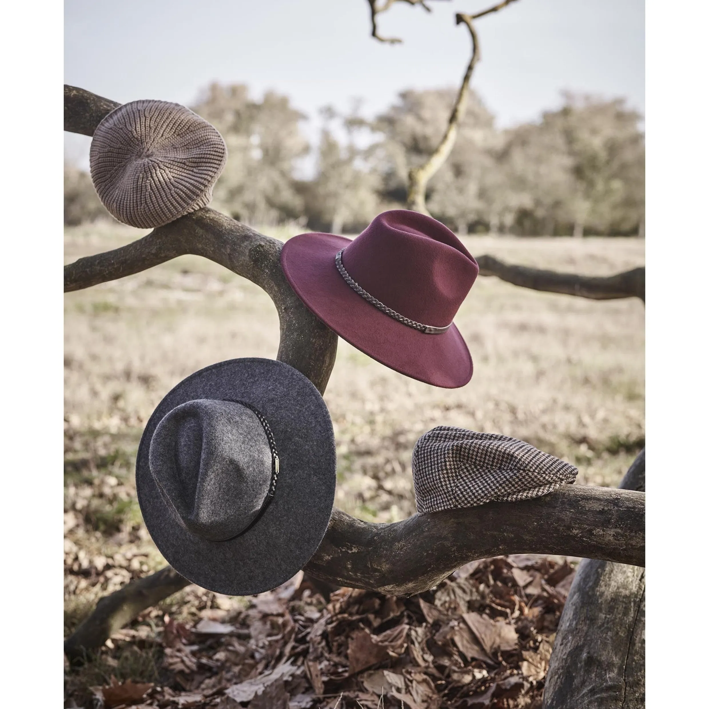 Barbour Tack Fedora Cabernet LHA0217RE91