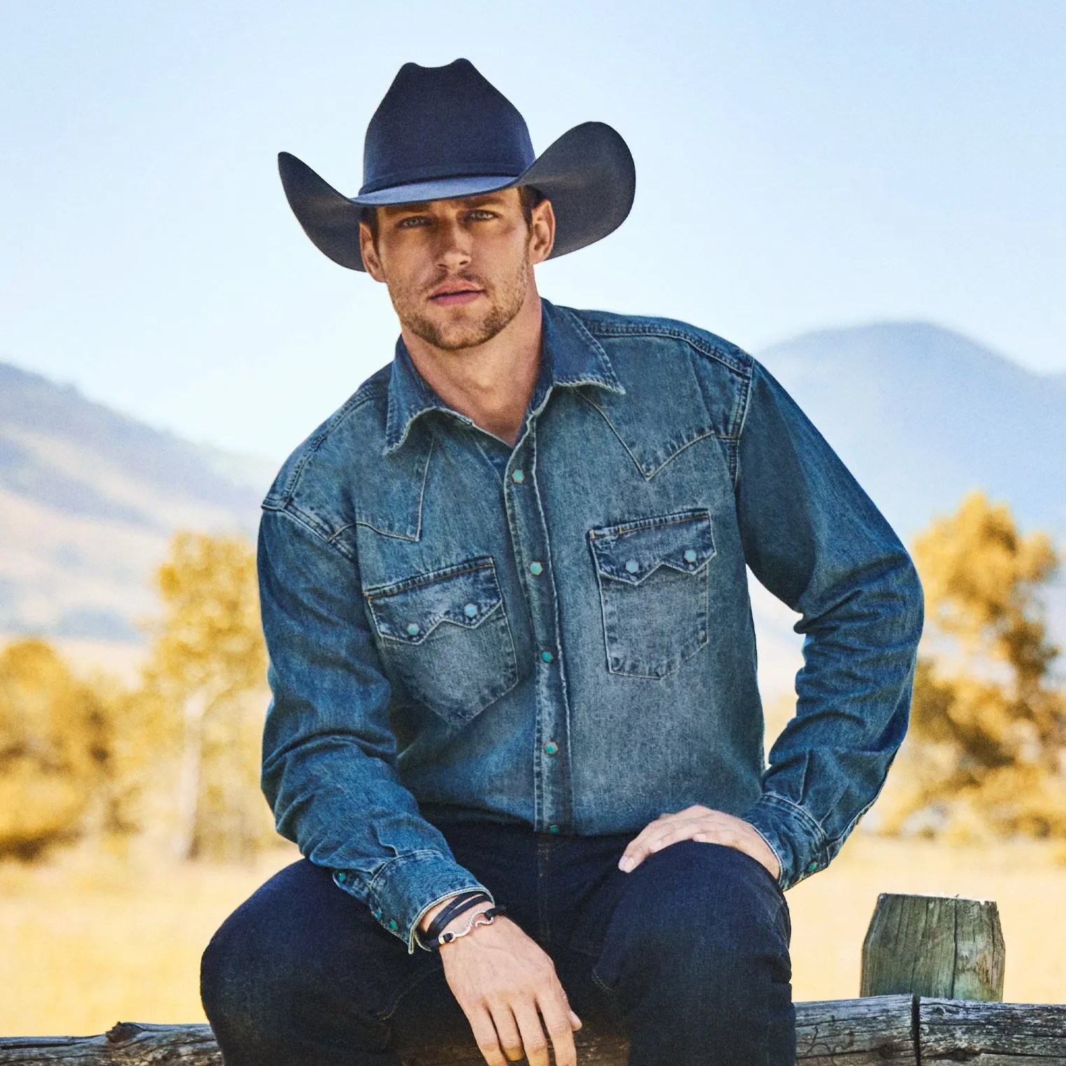 Mason 4X Cowboy Hat -STETSON