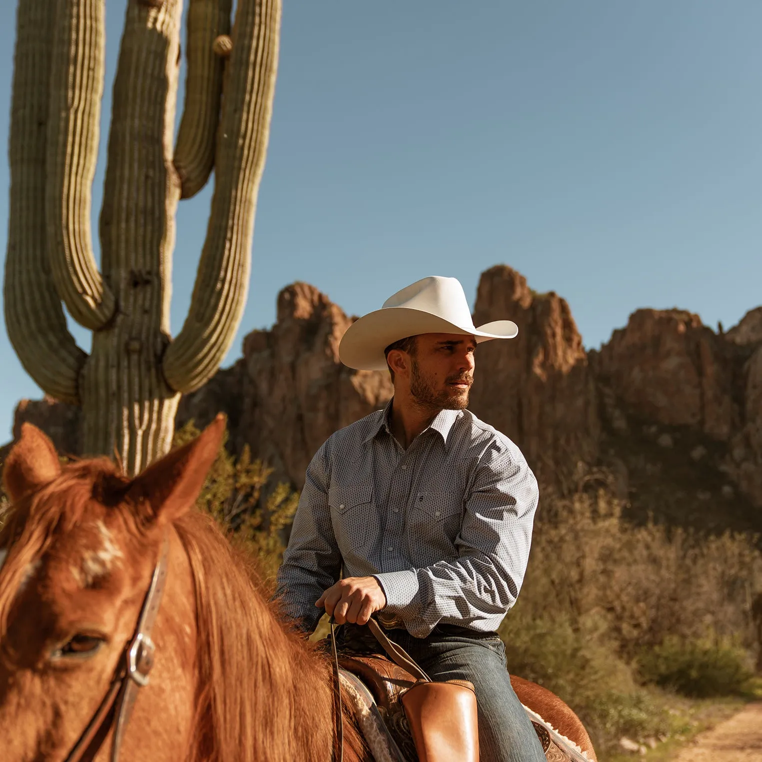 Shasta 10X Premier Cowboy Hat -STETSON