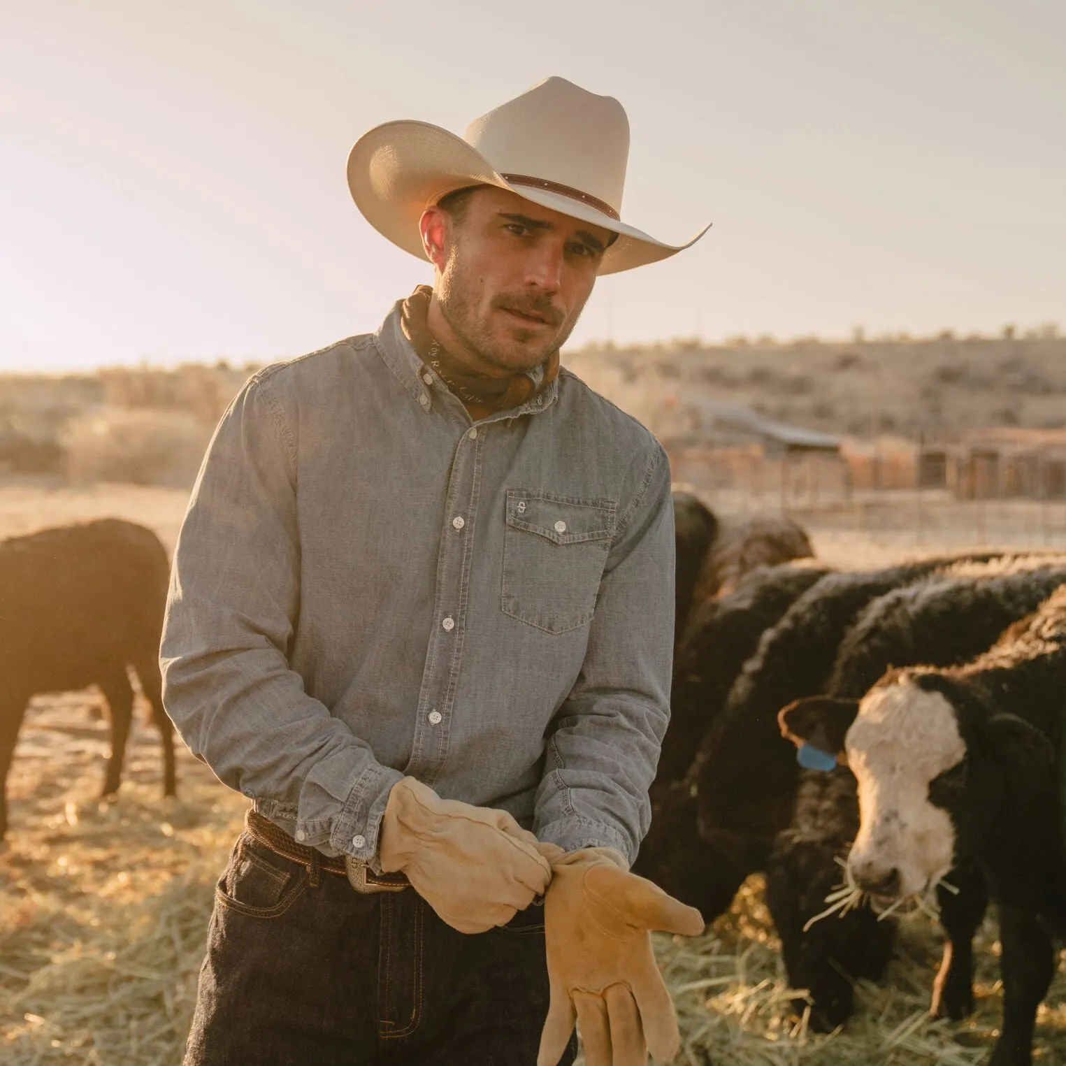 Stanhope 10X Straw Cowboy Hat -STETSON